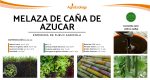 Melaza de caña - Imagen 2