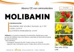 Molibamin - Imagen 2