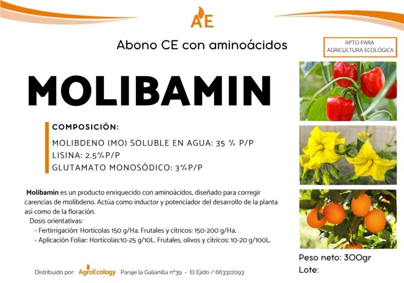Molibamin - Imagen 2