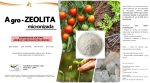 Agro-Zeolita - Imagen 3