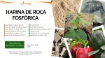 Harina de Roca Fosfórica - Imagen 2