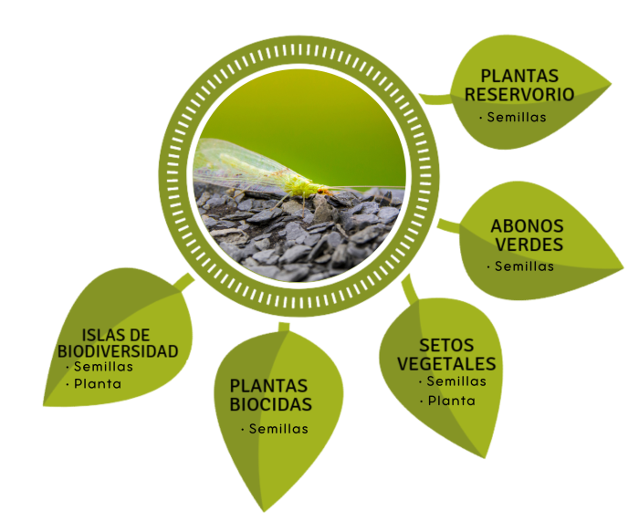 Diversidad de plantas y cultivos representando la biodiversidad agrícola y los distintos tipos de mejoradores ecológicos ofrecidos por AgroEcology