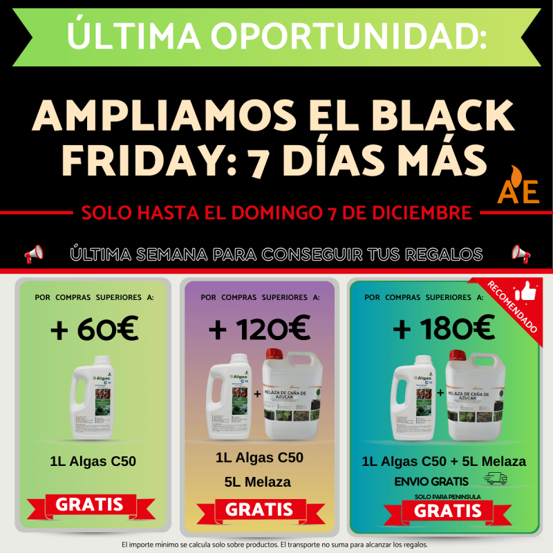 Última oportunidad para descuentos exclusivos por Black Friday en nuestra tienda online